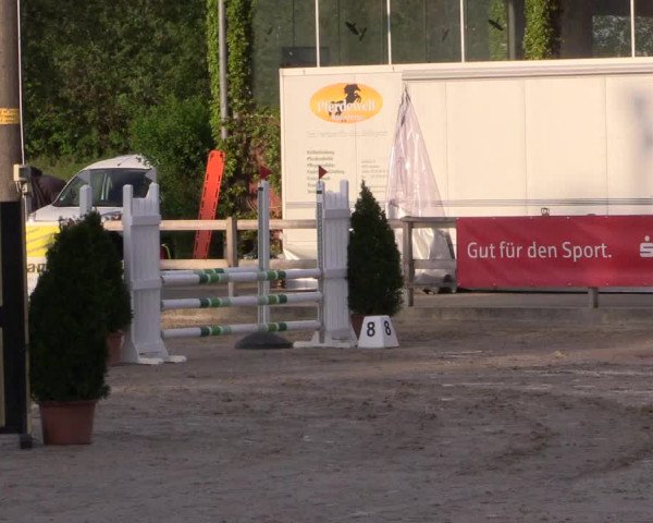 Reitturnier Nienberge 2019