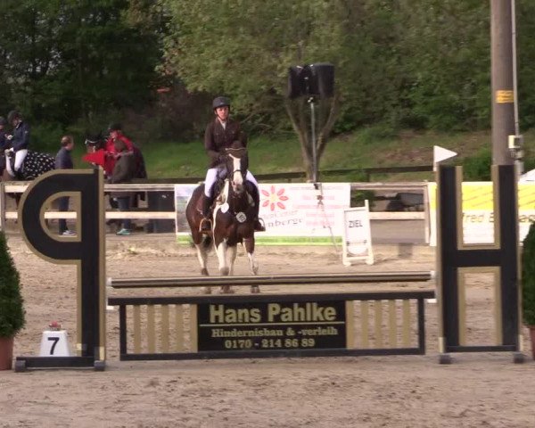 Reitturnier Nienberge 2019