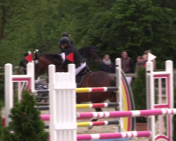 Reitturnier Nienberge 2019