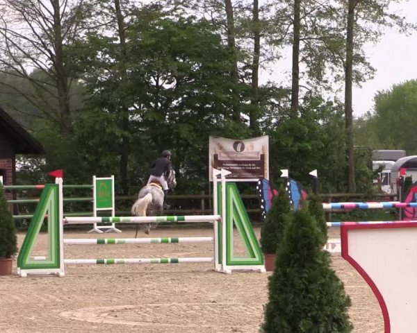 Reitturnier Nienberge 2019