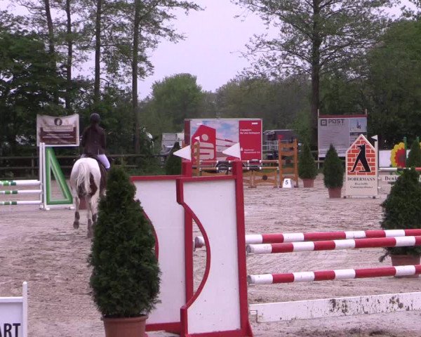 Reitturnier Nienberge 2019