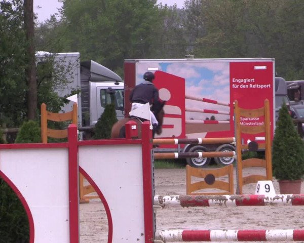 Reitturnier Nienberge 2019
