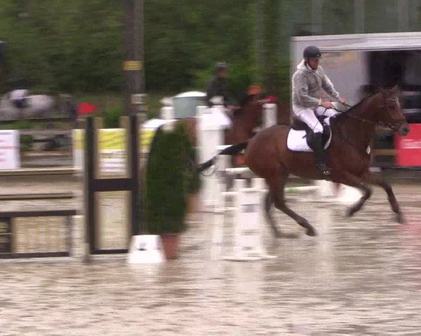Reitturnier Nienberge 2019