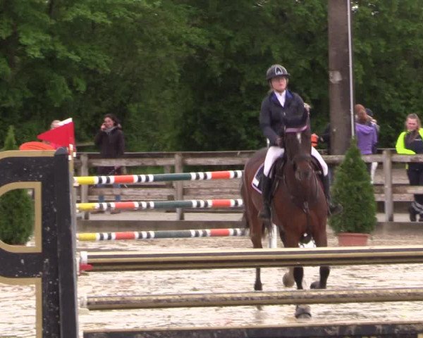 Reitturnier Nienberge 2019