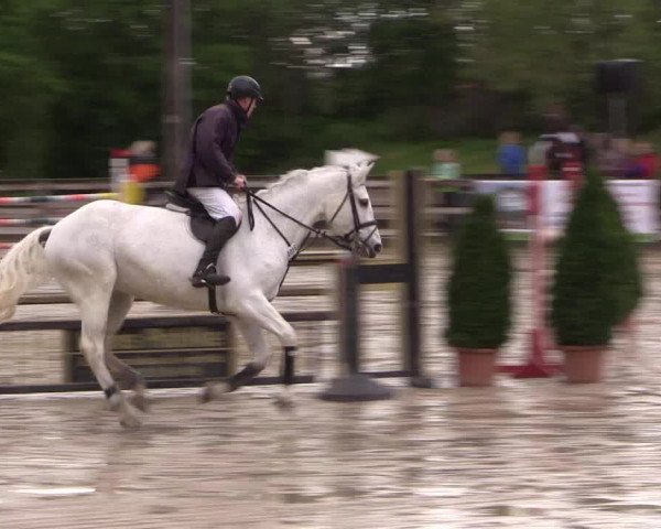 Reitturnier Nienberge 2019