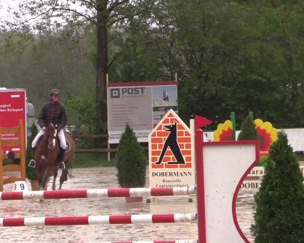 Reitturnier Nienberge 2019