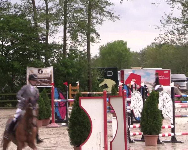 Reitturnier Nienberge 2019