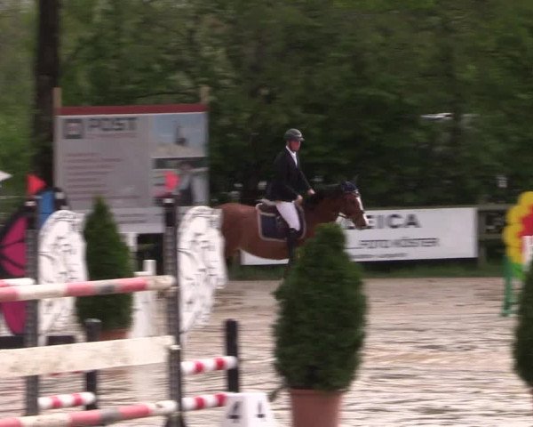 Reitturnier Nienberge 2019