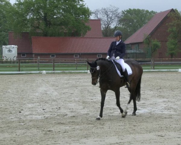 Reitturnier Warendorf, Reitstall am Rothenbach 2019