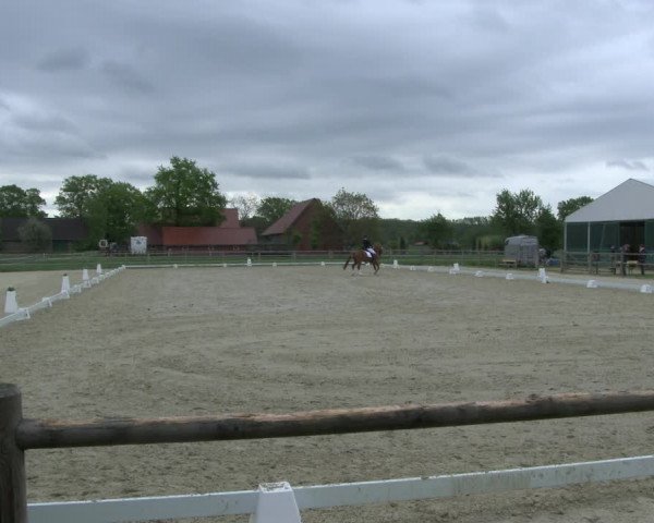 Reitturnier Warendorf, Reitstall am Rothenbach 2019