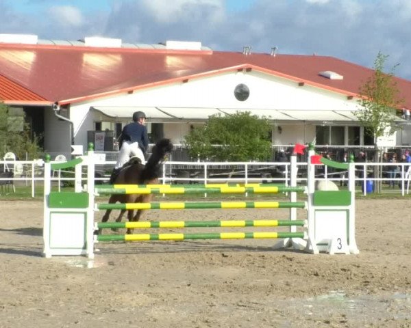 Reitturnier Langenau 2019