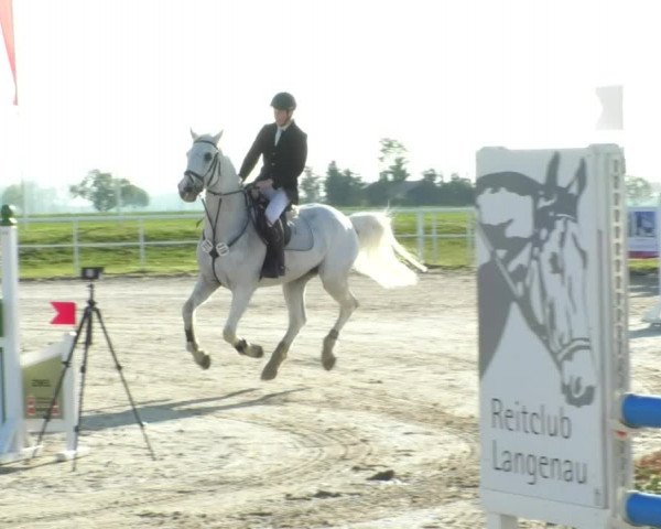 Reitturnier Langenau 2019