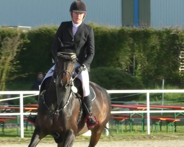Reitturnier Langenau 2019