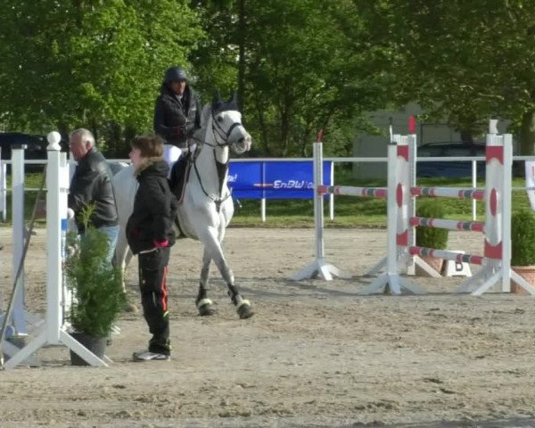 Reitturnier Langenau 2019