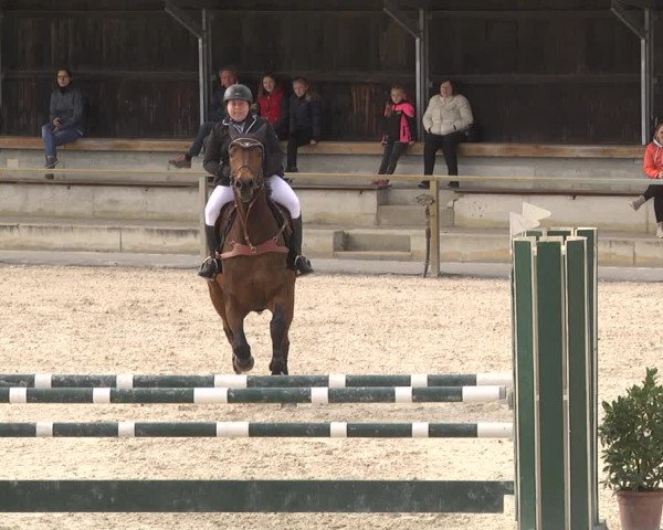 Reitturnier Ingolstadt-Hagau 2019