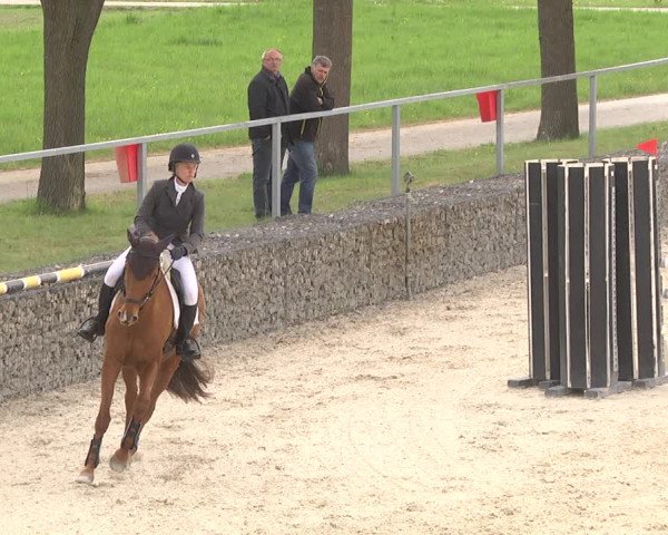 Reitturnier Ingolstadt-Hagau 2019