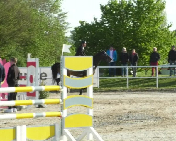 Reitturnier Langenau 2019