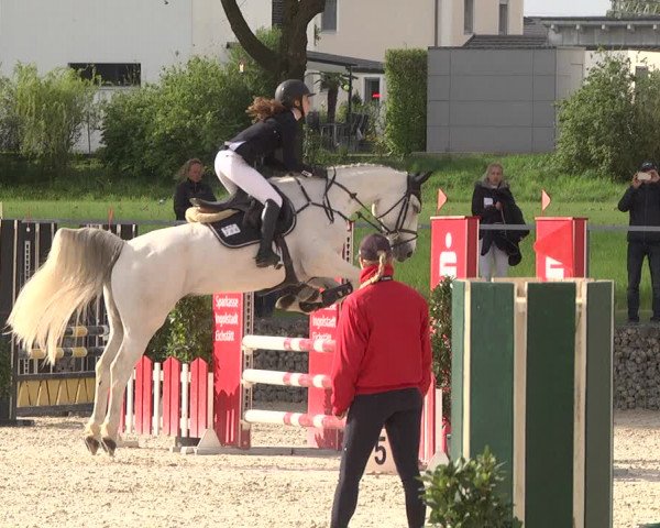 Reitturnier Ingolstadt-Hagau 2019