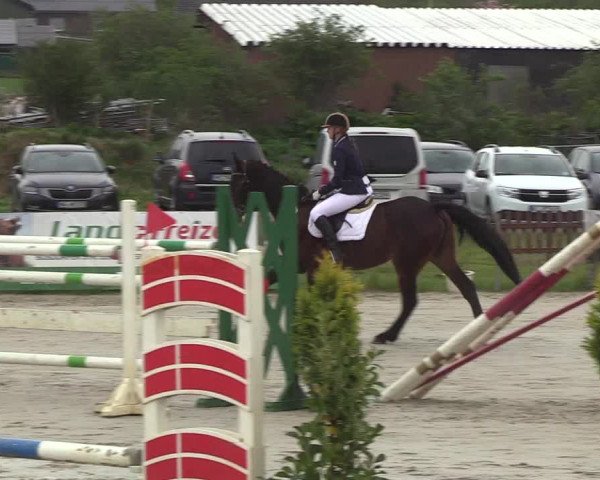 Reitturnier Schülp / Rendsburg 2019