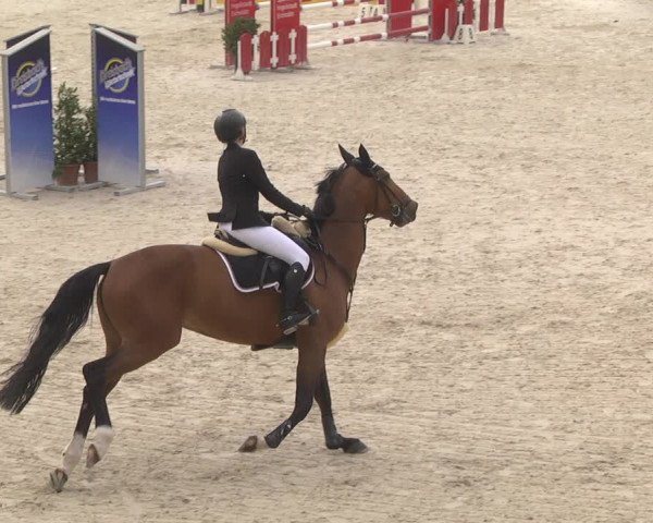 Reitturnier Ingolstadt-Hagau 2019
