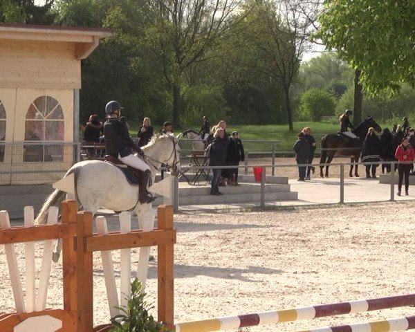 Reitturnier Ingolstadt-Hagau 2019