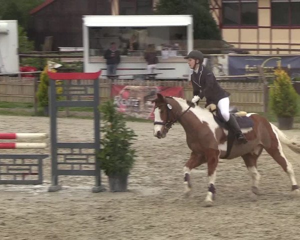 Reitturnier Schülp / Rendsburg 2019