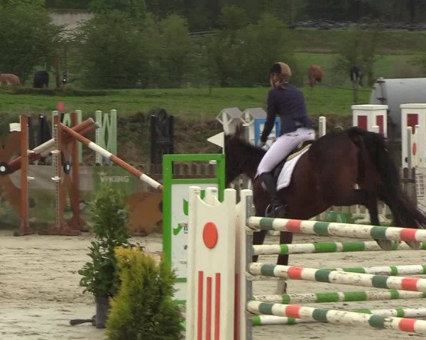 Reitturnier Schülp / Rendsburg 2019