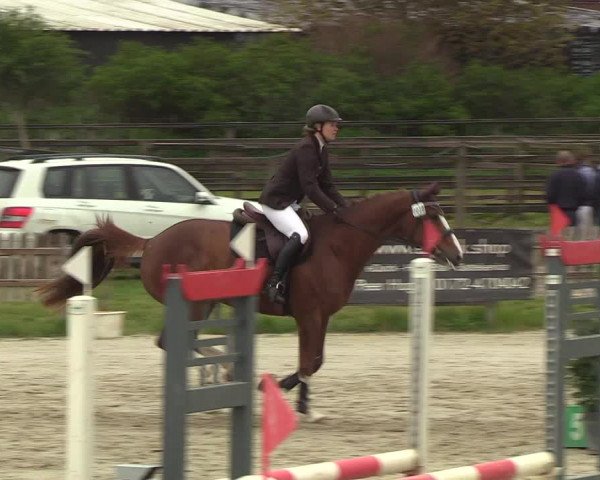 Reitturnier Schülp / Rendsburg 2019