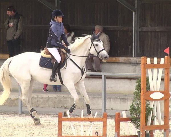 Reitturnier Ingolstadt-Hagau 2019