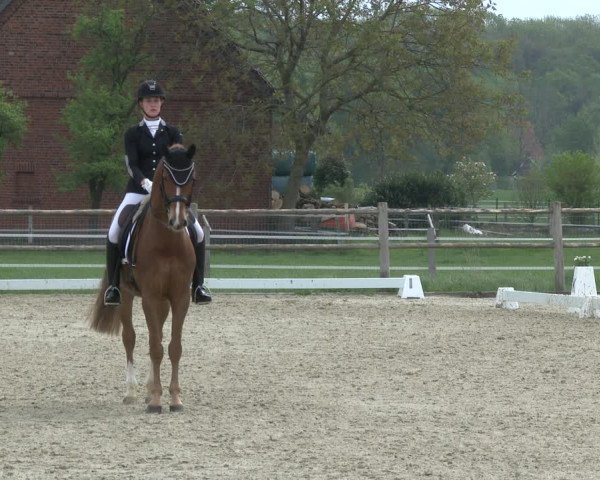 Reitturnier Warendorf, Reitstall am Rothenbach 2019