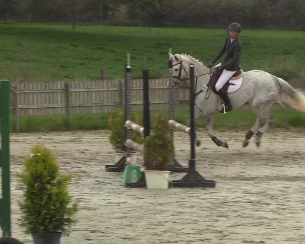 Reitturnier Schülp / Rendsburg 2019