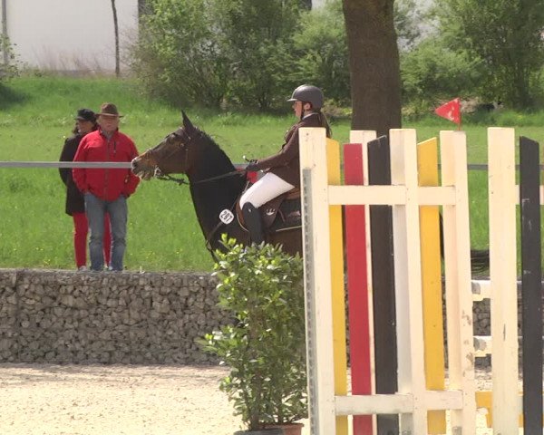 Reitturnier Ingolstadt-Hagau 2019