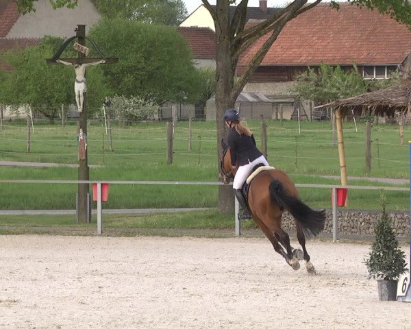 Reitturnier Ingolstadt-Hagau 2019