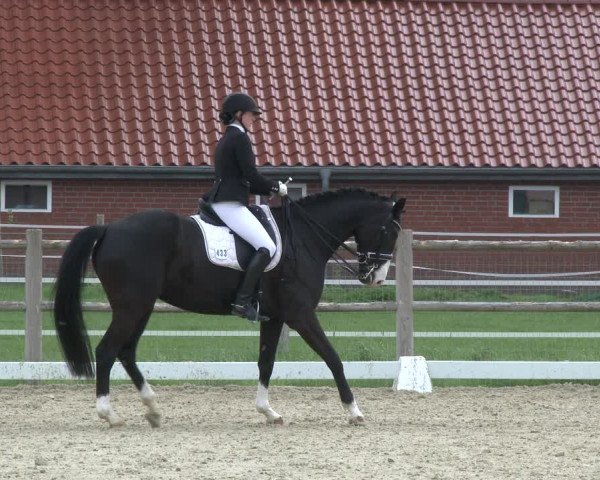 Reitturnier Warendorf, Reitstall am Rothenbach 2019