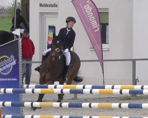 Reitturnier Ingolstadt-Hagau 2019
