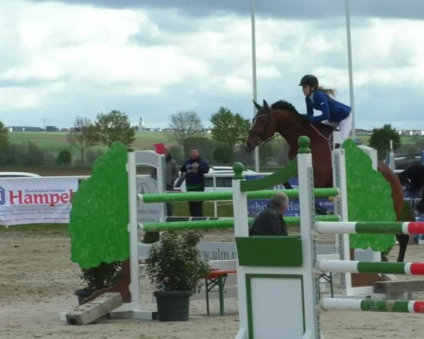 Reitturnier Langenau 2019