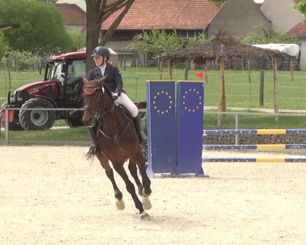 Reitturnier Ingolstadt-Hagau 2019