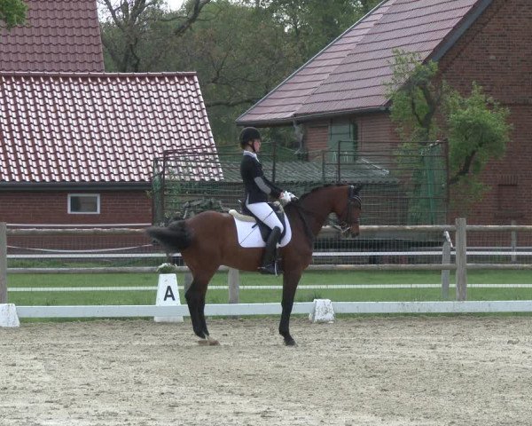 Reitturnier Warendorf, Reitstall am Rothenbach 2019
