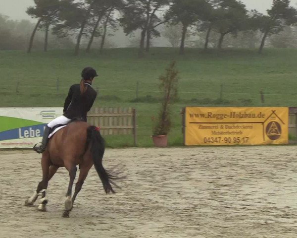 Reitturnier Schülp / Rendsburg 2019