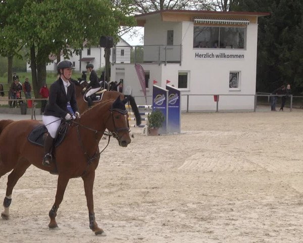 Reitturnier Ingolstadt-Hagau 2019
