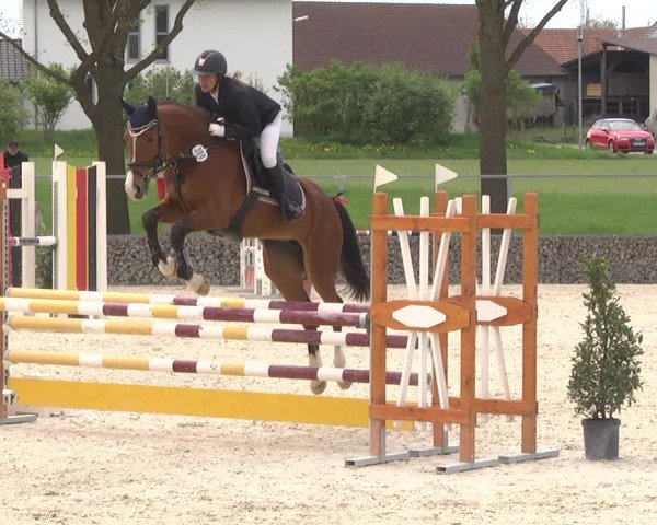 Reitturnier Ingolstadt-Hagau 2019