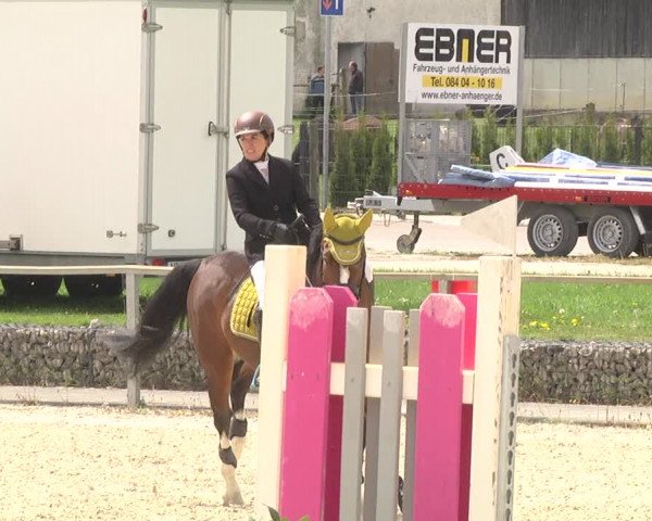 Reitturnier Ingolstadt-Hagau 2019