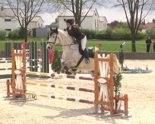Reitturnier Ingolstadt-Hagau 2019
