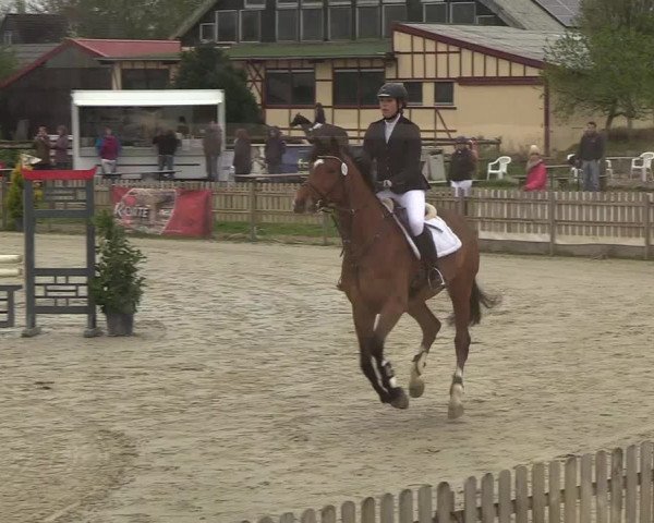 Reitturnier Schülp / Rendsburg 2019