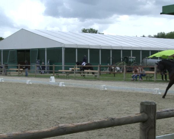 Reitturnier Warendorf, Reitstall am Rothenbach 2019