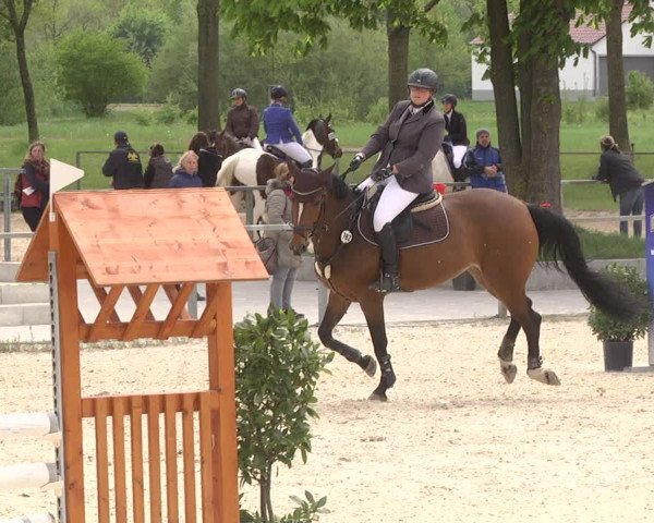 Reitturnier Ingolstadt-Hagau 2019