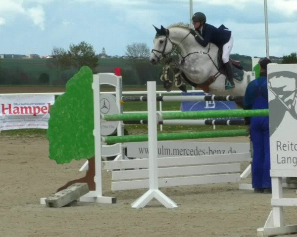 Reitturnier Langenau 2019