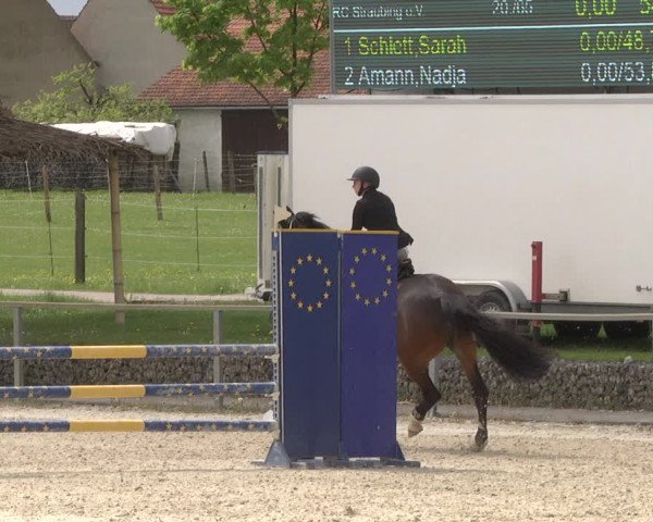 Reitturnier Ingolstadt-Hagau 2019