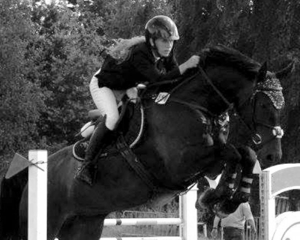 Cavallo da salto Navy's Jappeloup (Renano, 2008, di Nintender)
