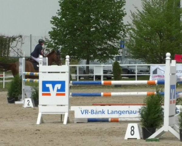 Reitturnier Langenau 2019